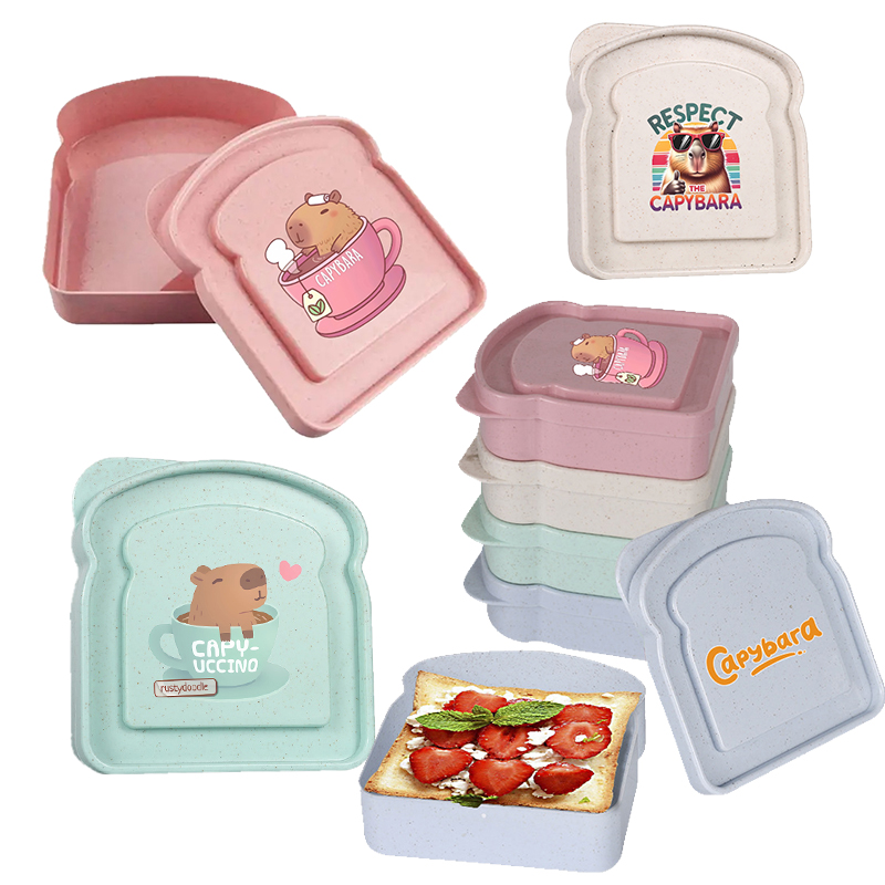 Food Storage With Dividers - Capivara sanduíche caixa de armazenamento de